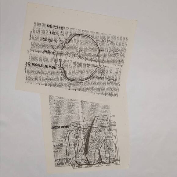 Anatomy Vintage Dictionary Prints, Anatomy Prints, Book Page Prints - Picture 3 of 10